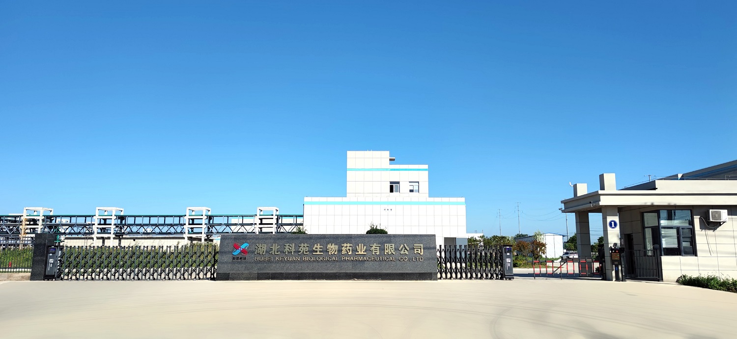 公司大門(mén)